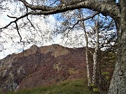 Monte Due Mani (1656 m) con Cima Muschiada (1458 m) dalla Culmine S. Pietro il 21 ottobre 2020- FOTOGALLERY 
